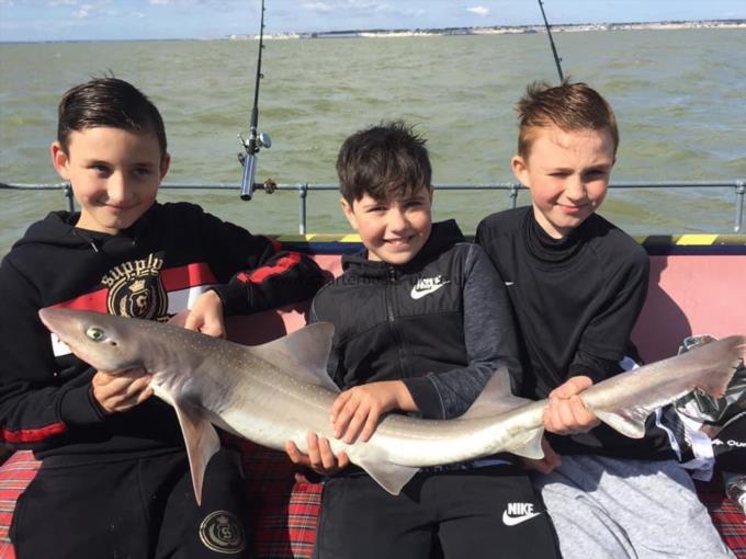 13 lb Smooth-hound by Unknown