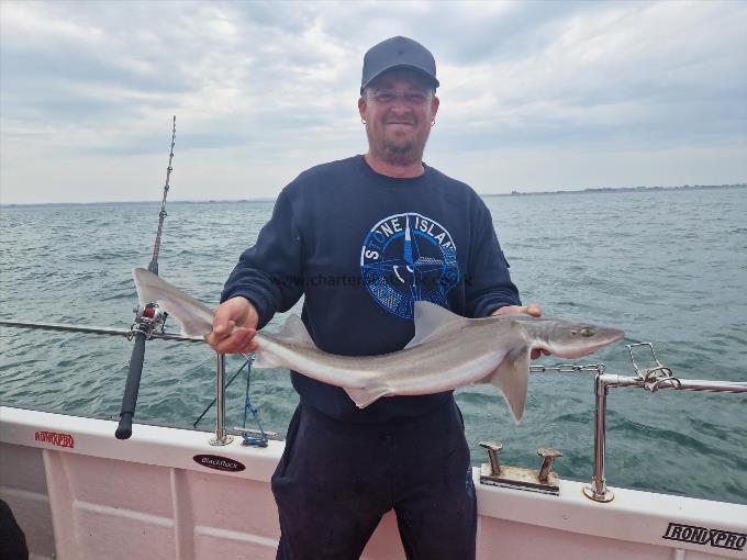 7 lb Smooth-hound by Lee from Ashford