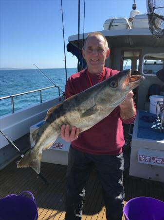 11 lb 12 oz Pollock by Steve