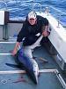 157 lb Blue Shark by Joe