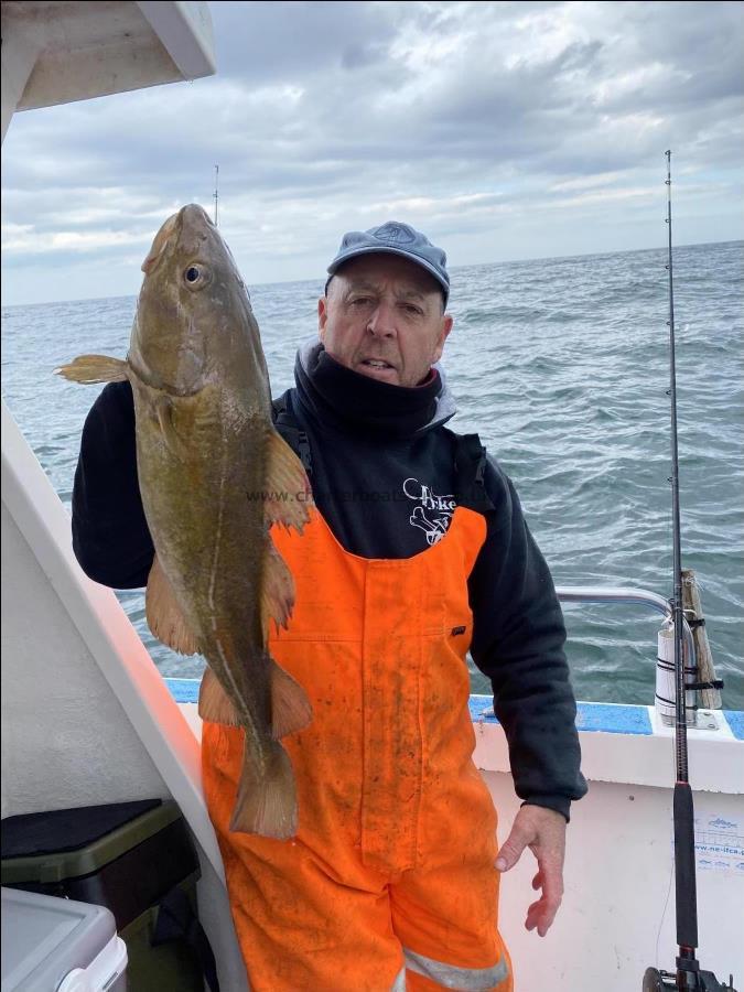 6 lb Cod by Dave Sharp.
