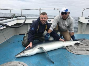92 lb Blue Shark by Kevin McKie