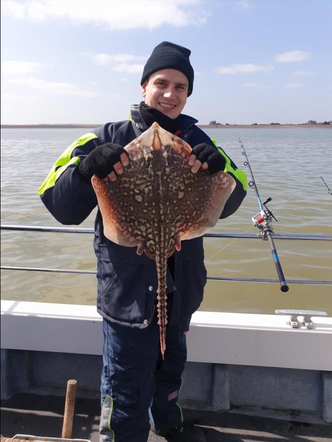 7 lb 8 oz Thornback Ray by Bob Marshall