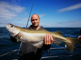 13 lb 8 oz Pollock by Steve Miller