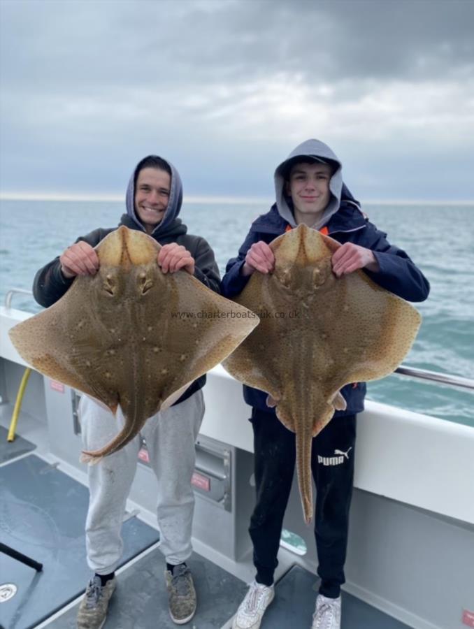 17 lb Blonde Ray by Unknown