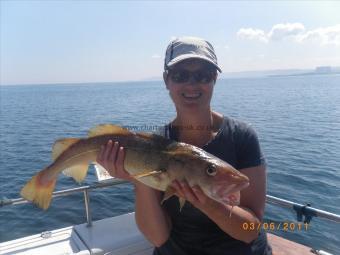 5 lb Cod by Julia Edmonds