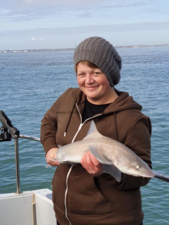 8 lb 1 oz Smooth-hound (Common) by Hayleigh
