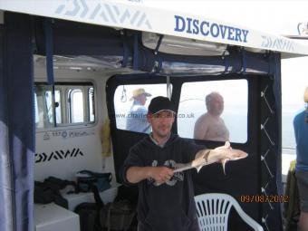 2 lb Smooth-hound by Unknown