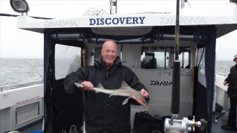 5 lb Smooth-hound by Unknown