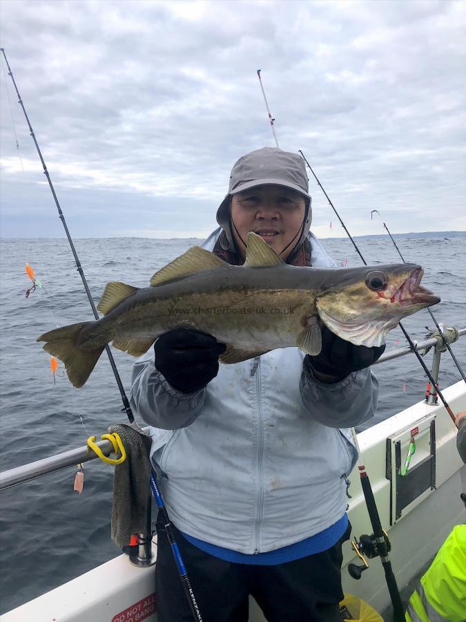 4 lb 8 oz Pollock by Tony