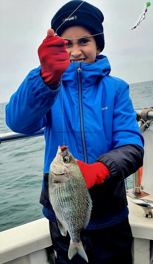 2 lb Black Sea Bream by Unknown