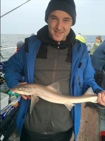4 lb Smooth-hound (Common) by Danny