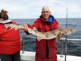 10 lb 2 oz Bull Huss by Dave Fung