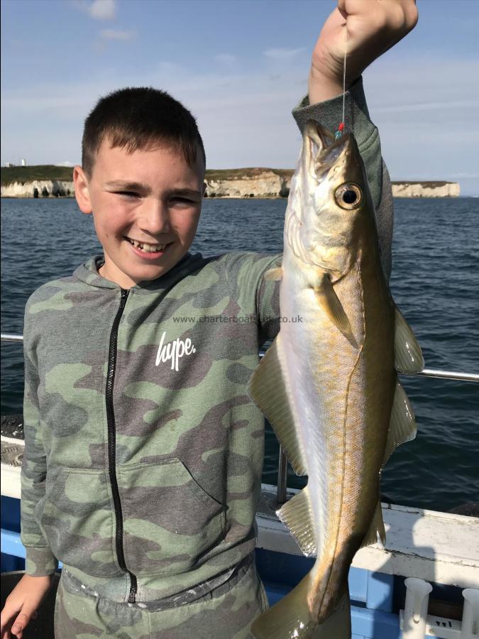 4 lb Pollock by Decline from Hertfordshire 23/8/2018