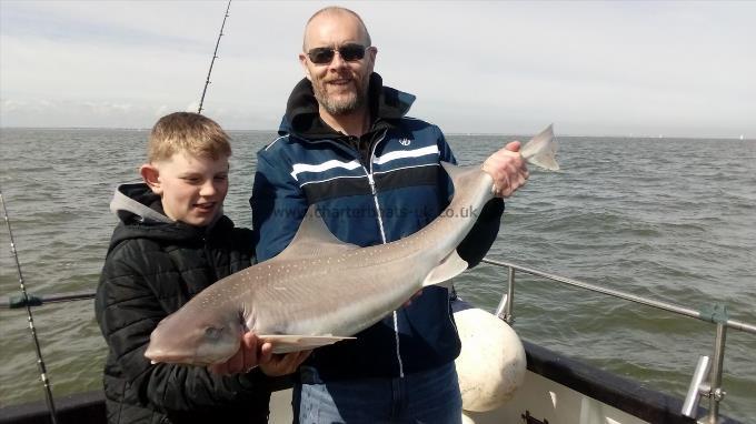 2 oz Smooth-hound by Unknown