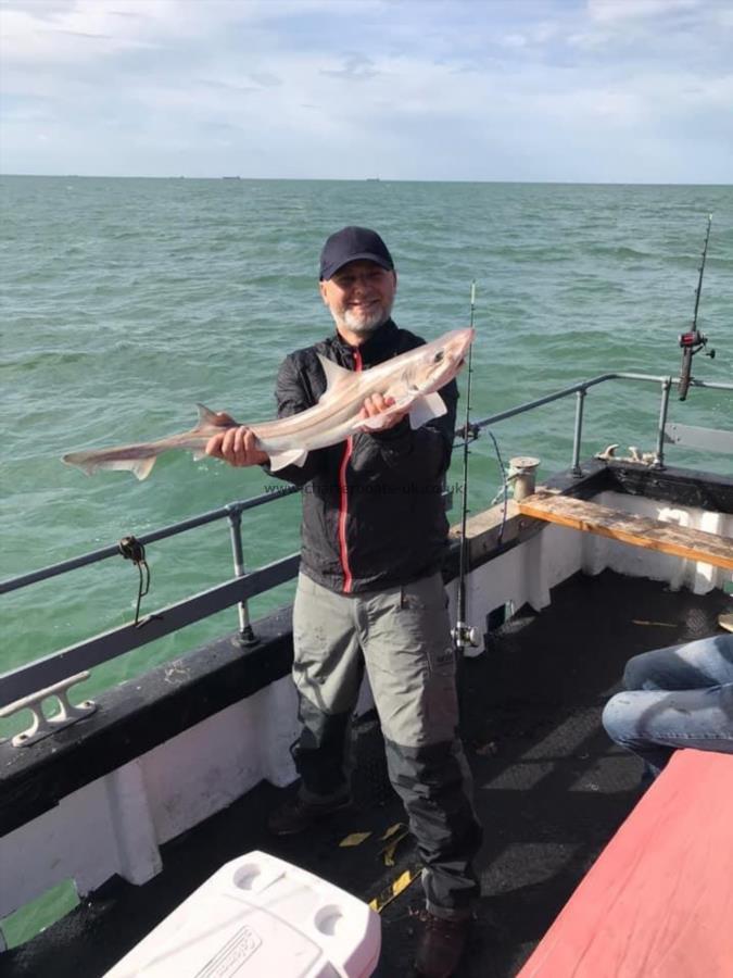 9 lb Smooth-hound by Unknown