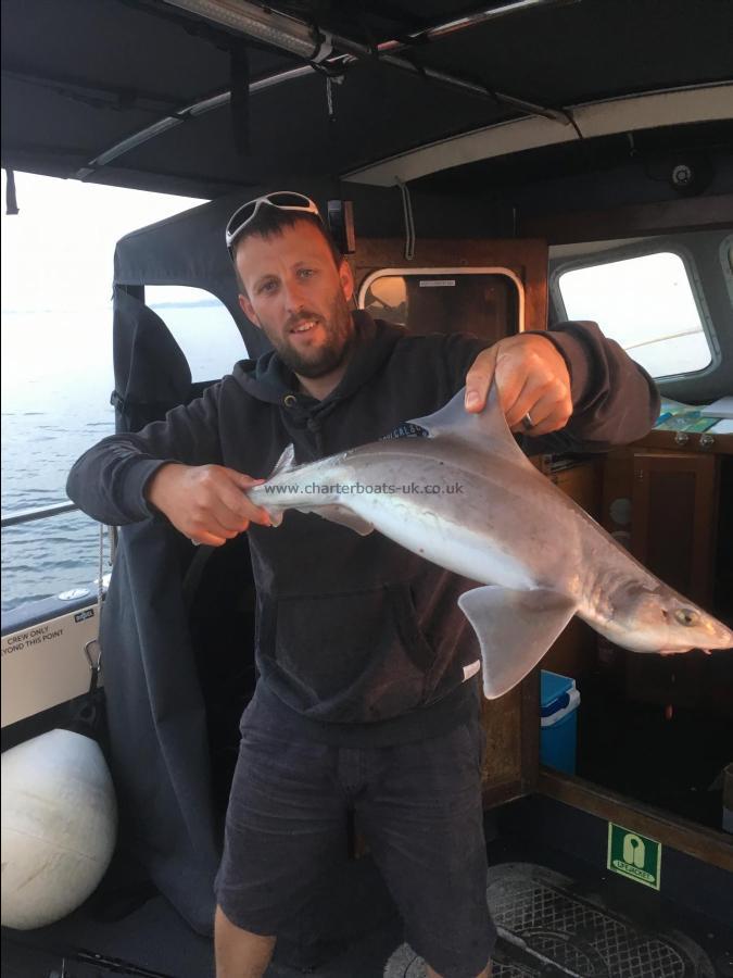 6 lb 8 oz Smooth-hound by Unknown