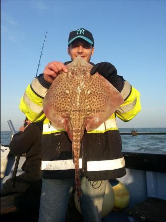 5 lb Thornback Ray by Martin