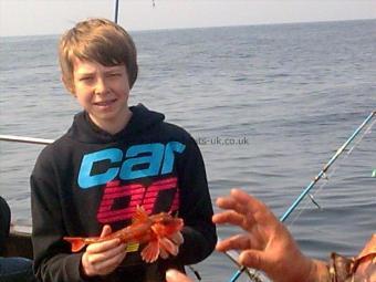 1 lb Red Gurnard by happy young man !!!!