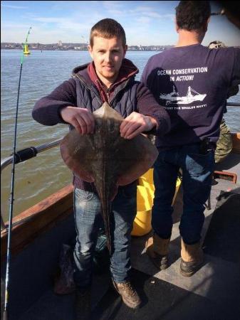 4 lb 54 oz Thornback Ray by Paul