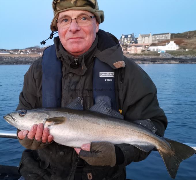 9 lb 8 oz Pollock by Unknown