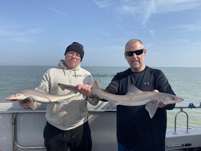 5 lb Smooth-hound (Common) by Unknown