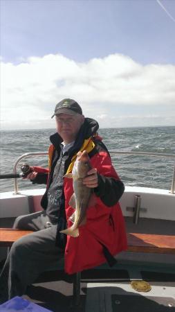 2 lb 12 oz Cod by brian