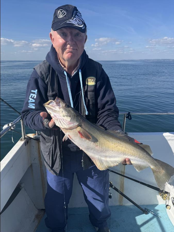 5 lb Pollock by David