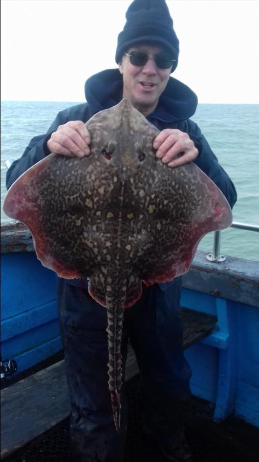 15 lb 1 oz Thornback Ray by Marks party