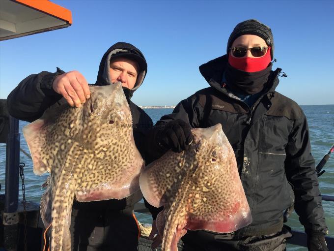 8 lb Thornback Ray by Unknown