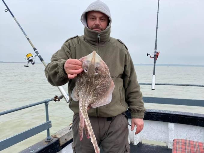 4 lb Thornback Ray by Unknown