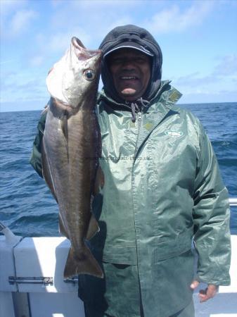 6 lb 4 oz Pollock by Hanson