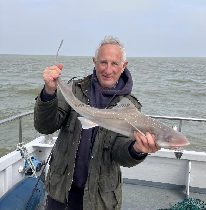 3 oz Smooth-hound by Unknown