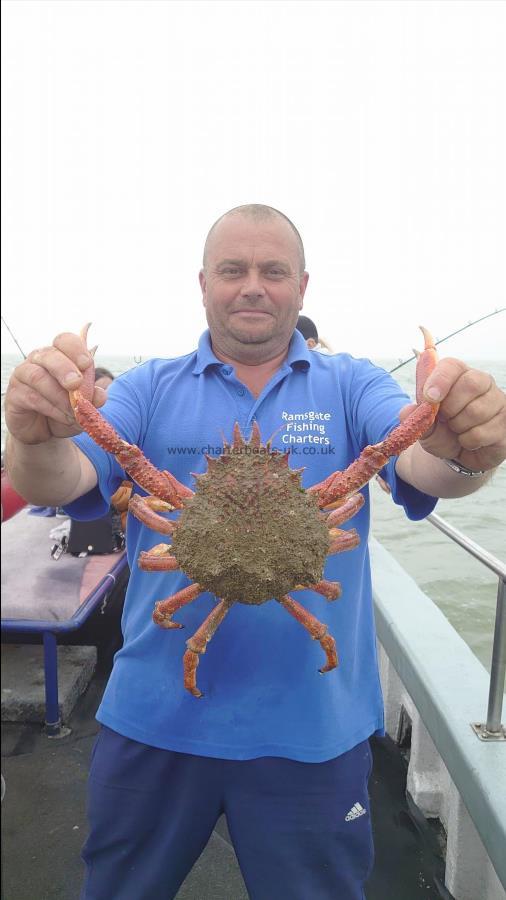 2 lb Spider Crab by Ian