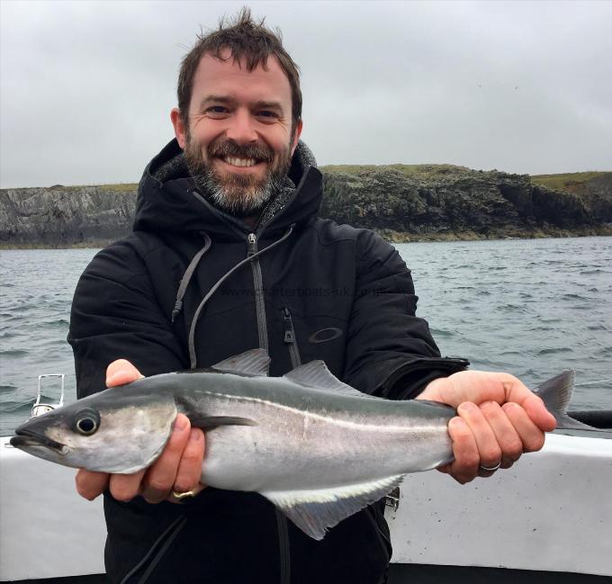 3 lb Coalfish (Coley/Saithe) by Unknown