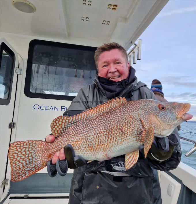 5 lb Ballan Wrasse by Tom