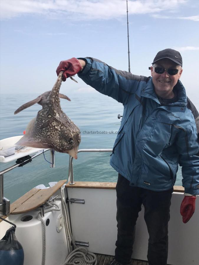 7 lb Thornback Ray by Grant