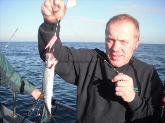 8 oz Herring by Warren Bets