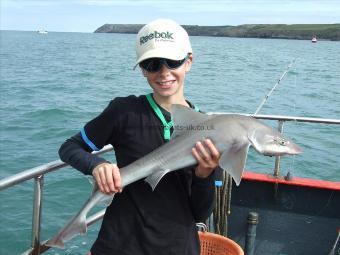 4 lb 6 oz Smooth-hound (Common) by Unknown