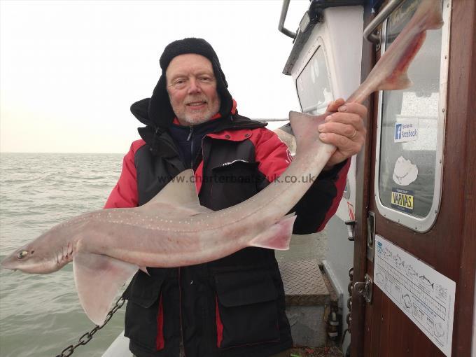 13 lb Starry Smooth-hound by John