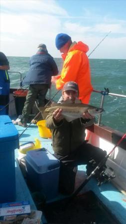 3 lb 8 oz Pollock by Unknown