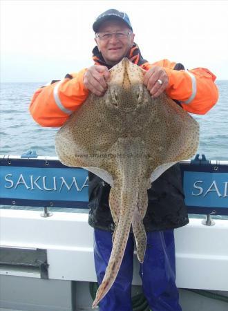 18 lb Blonde Ray by Andy Collings