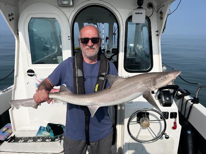 12 lb Smooth-hound by Unknown