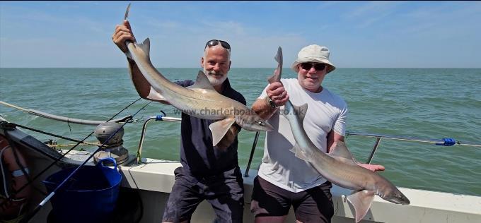 11 lb 4 oz Smooth-hound by Phil