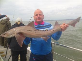 15 lb Smooth-hound (Common) by mike powell