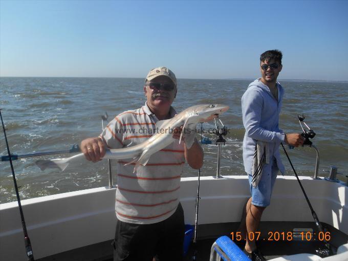 6 lb 5 oz Starry Smooth-hound by Eric Wright