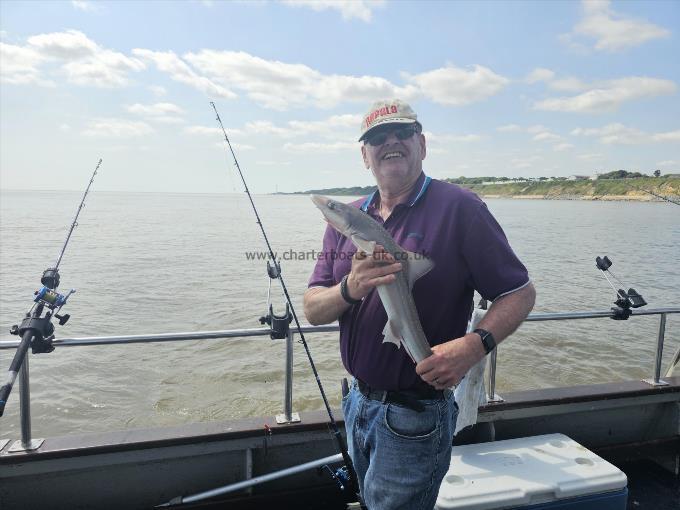 6 lb Smooth-hound by STEWART