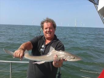 5 lb 10 oz Smooth-hound by Dave