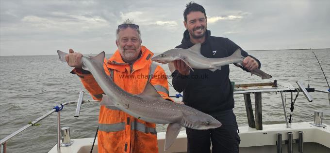 9 lb 12 oz Starry Smooth-hound by Paul