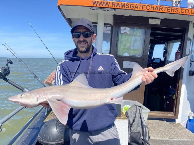 10 lb Smooth-hound (Common) by Unknown